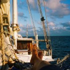 Great Barrier Reef, 1999