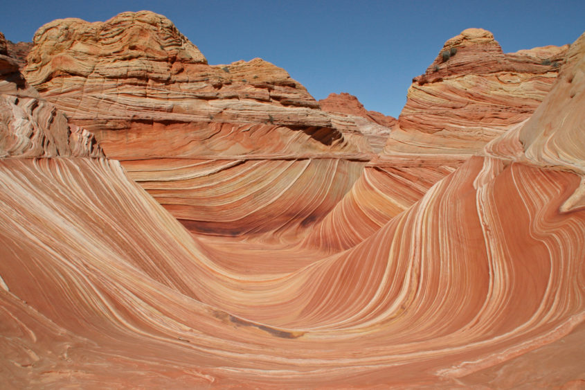 The Wave