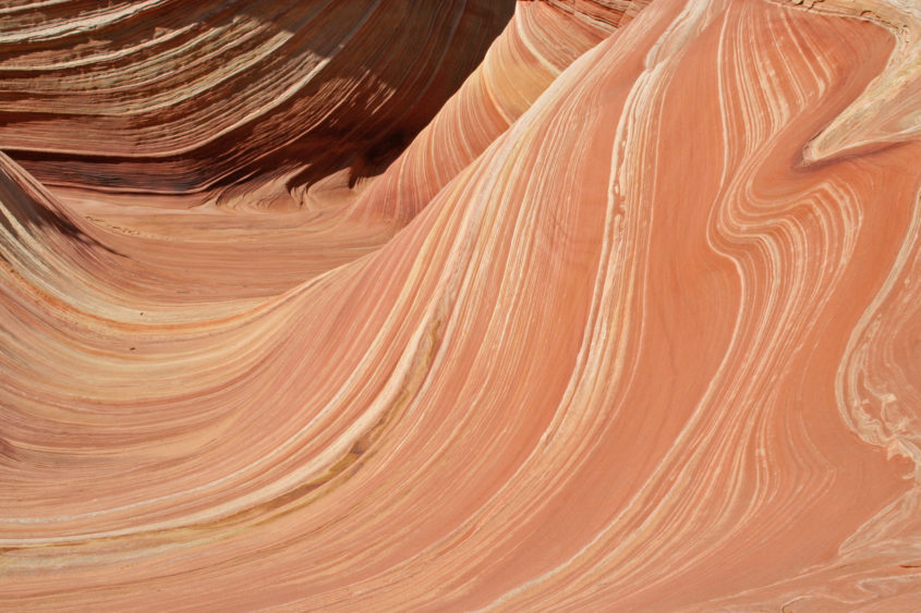 The Wave